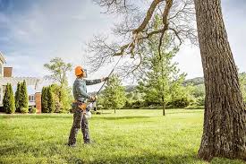 How Our Tree Care Process Works  in  East Flat Rock, NC