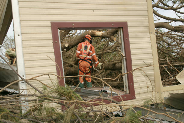 Best Storm Damage Tree Cleanup  in East Flat Rock, NC